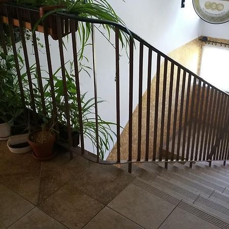 Dom Sportowca Roko Apartment Gdansk Luaran gambar